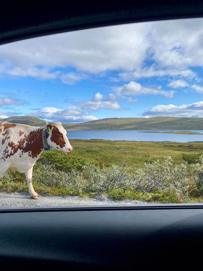 Haugseter Fjellstue AS Hotell Beitostolen Eksteriør bilde